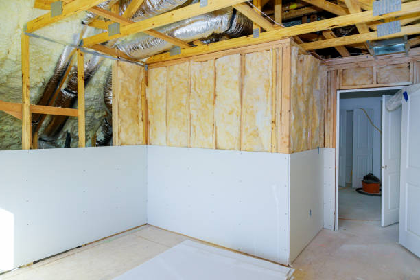 Best Local Insulation Services  in La Blanca, TX